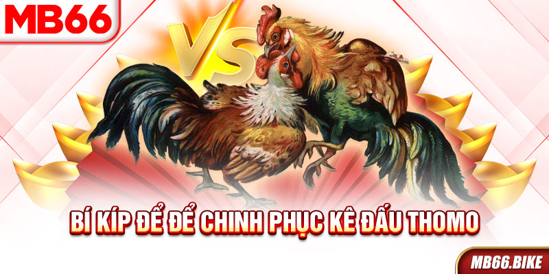 Bí kíp để chinh phục kê thủ tại MB66