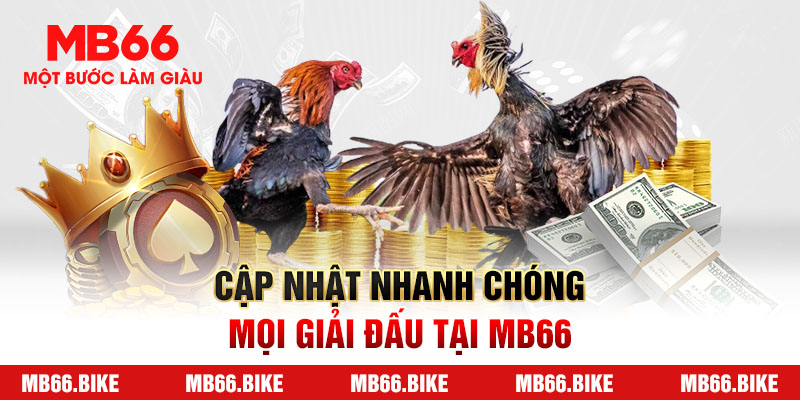 Cập nhật liên tục và nhanh chóng mọi giải đấu