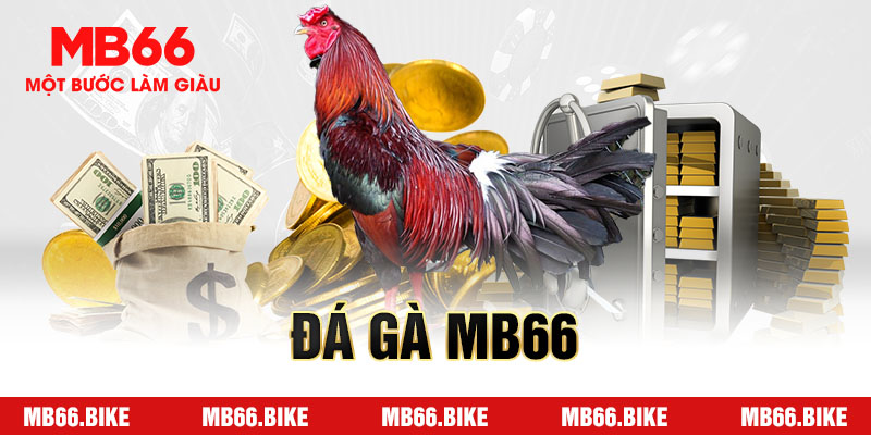 Thông tin về đá gà MB66