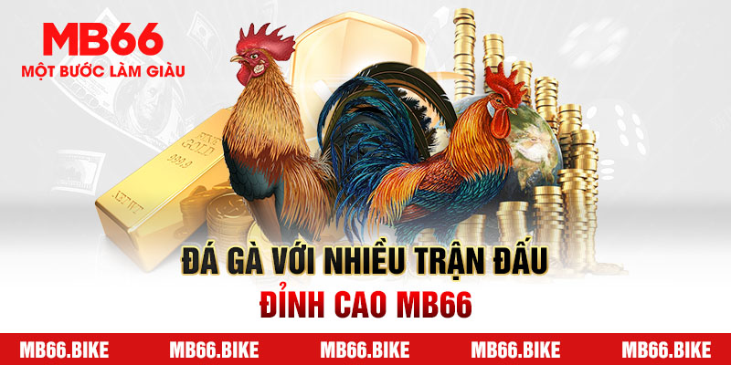 Cách tham gia chơi đá gà MB66 đơn giản