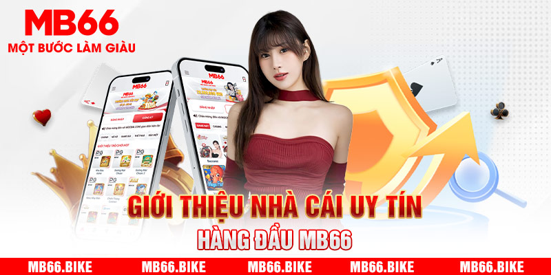 Câu hỏi thường gặp MB66 khi tham gia cá cược